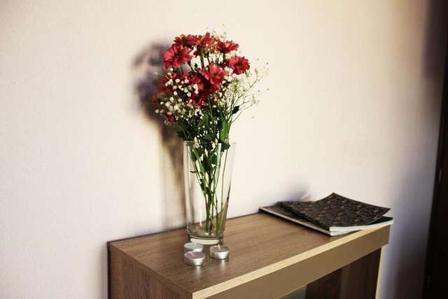 Апартаменты Mimoza Apartments Дженовичи-27